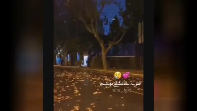 دوستانه عاشقانه عشق