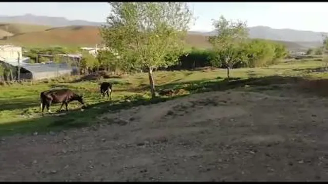 روستای فراموشجان