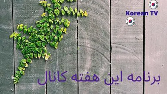 برنامه های این هفته کانال korean TV 📺