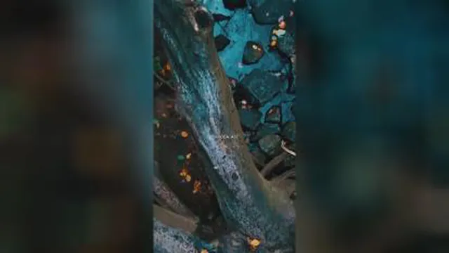 گذشته رو رها کن
