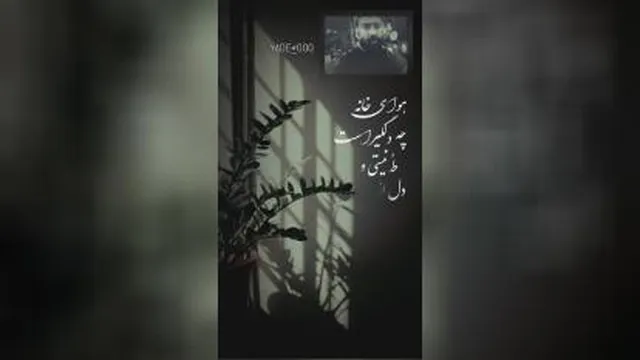 علی انصاریان - مهرداد میناوند