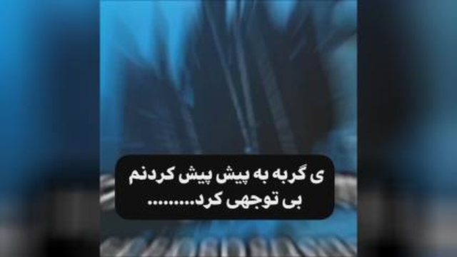 میزان علاقم به گربه‌ها