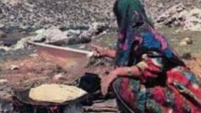 نون تیری و توسی