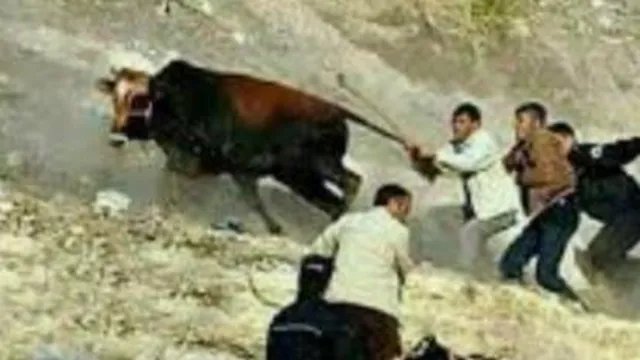 شوخی های دوستانه