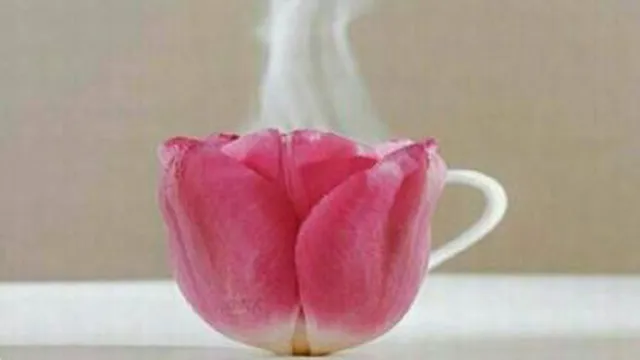 خانه سبار