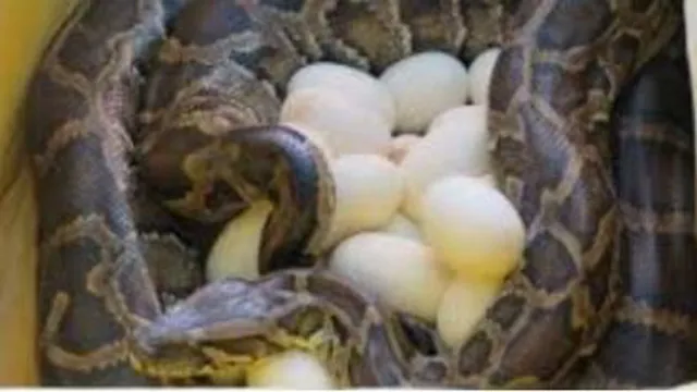 منکه از دیدن ش حالم بد میشه