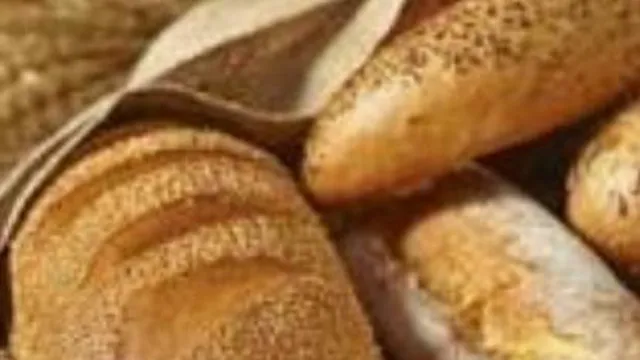 راننده کامیون های بزرگ