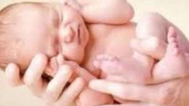 تاریخ تولد رند