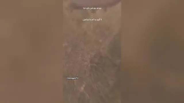 برگ برنده