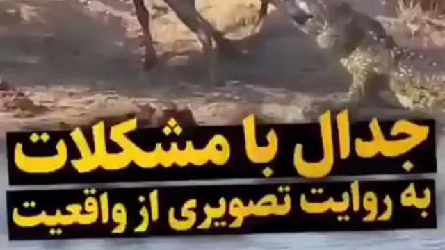جدال با مشکلات به روایت تصویر