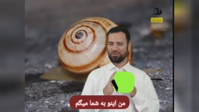 بستر سازی حلزون