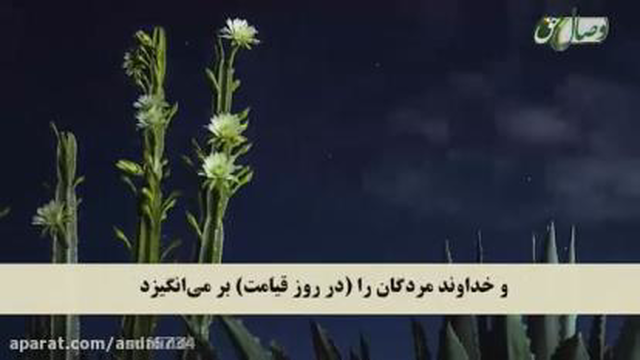 سپاره هفتم قرانکریم