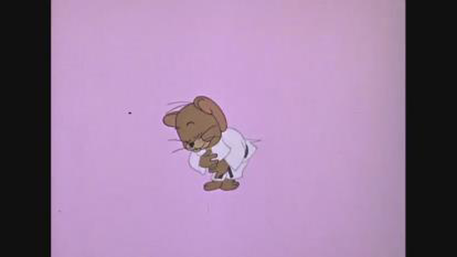 موش و گربه