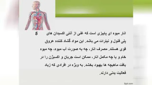 مواد غذایی مفید برای گردش خون