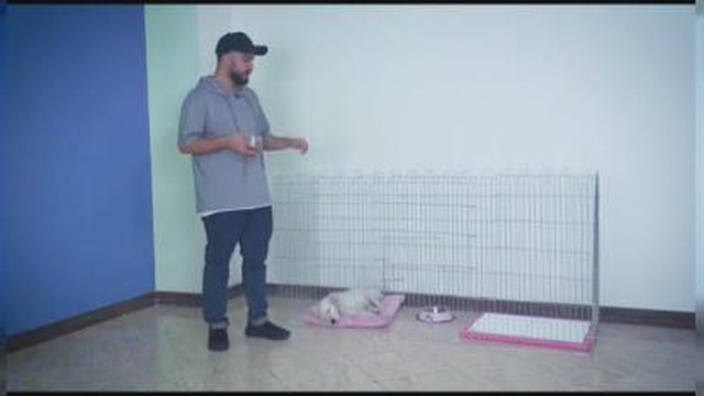 آموزش دستشویی به سگ