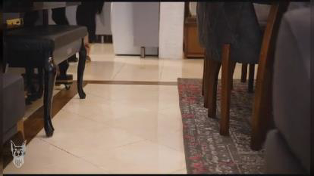 آموزش سگ آپارتمانی در اصفهان