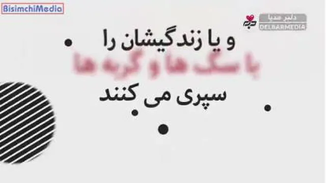 سلبریتی ها