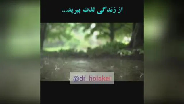 از زندگی لذت ببرید