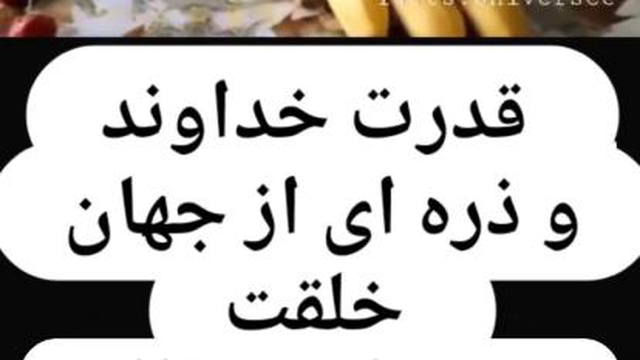 نشانه ای از قدرت خدا،قدرت همرنگی با محیط
