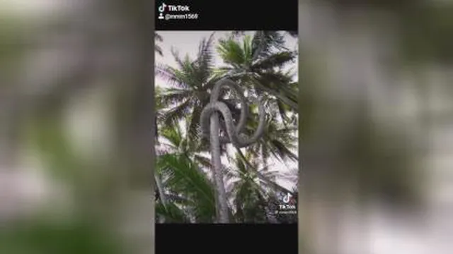 حتما ببینید جالبه