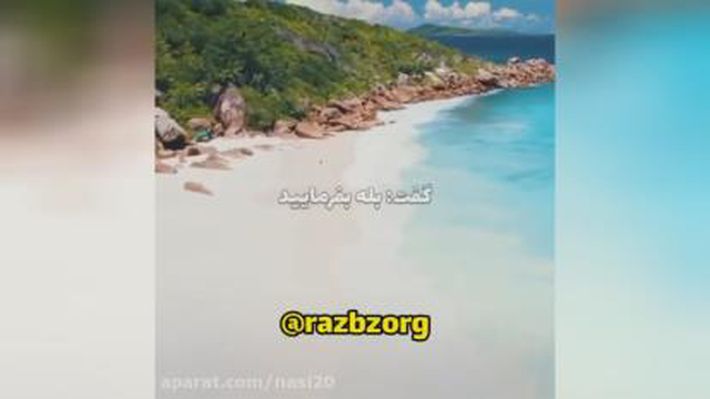 کدوم مهمتره؟ شادی، ثروت یا موفقیت؟