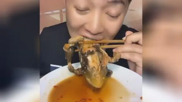 خوردن قورباغه 😆🥴🥴