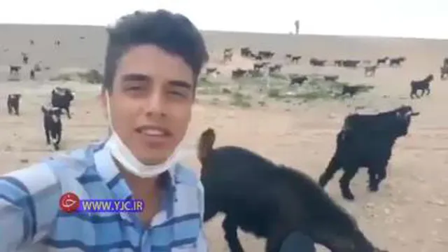 صدای بسیارزیبای آواز چوپان..