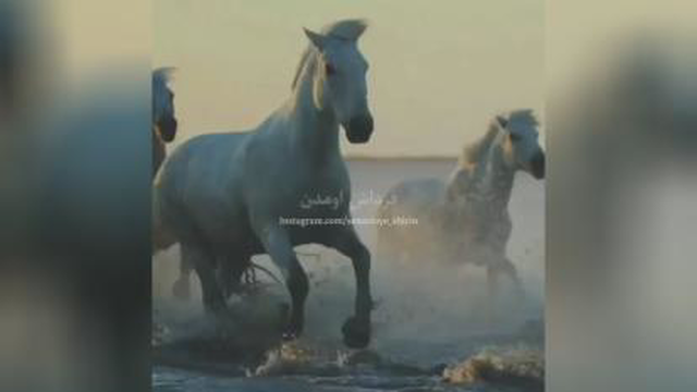 داستان