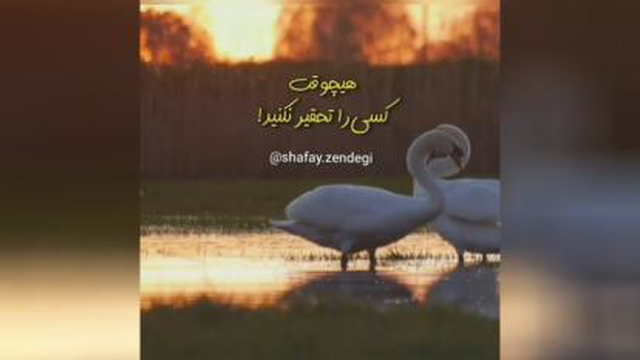 ﺫﻫﻦ ﻣﺎ ﻣﺜﻞ ﺗﻠﻮﯾﺰﯾﻮﻧﻪ، ما هستیم که تصمیم ﻣﯽ‌ﮔﯿﺮﯾﻢ ﮐﺪﻭﻡ ﺷﺒﮑﻪ ﺭﻭ ﺑﺒﯿﻨﯿﻢ! ﺷﺒﮑﻪ ﺭﻧﺠﺶ،