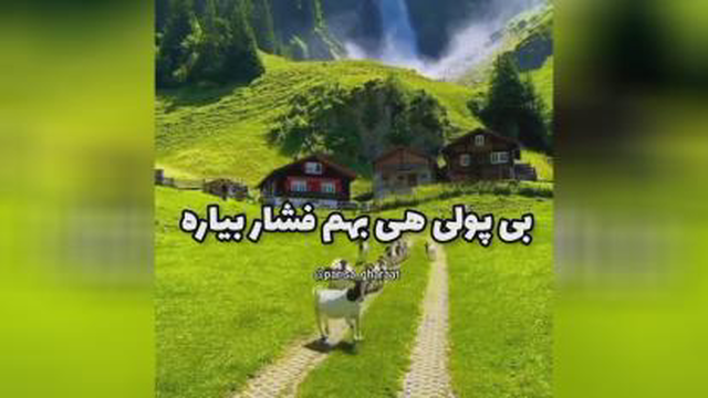 #استادامیرخلعتبری