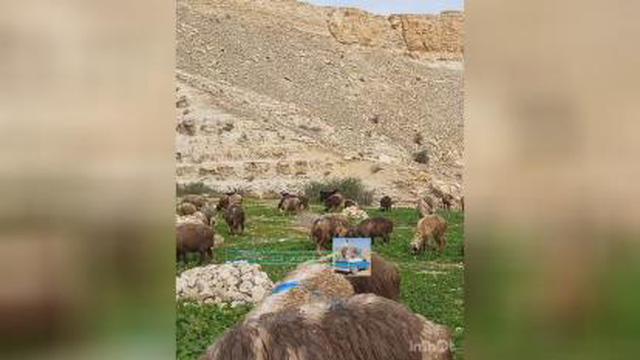 کلیپ ترکی قشقایی با صدای زیبای مسعود صابری
