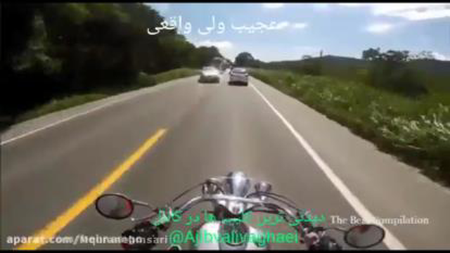 وافقعا عجیب غریبه