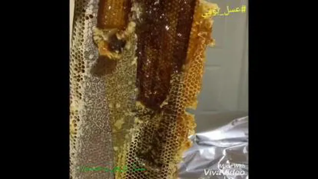 موم تازه