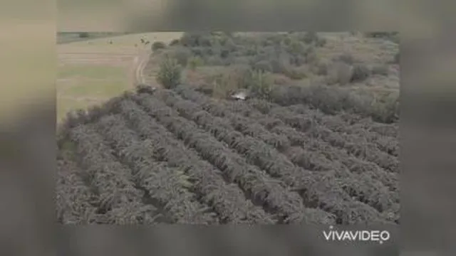 ویلا و زمین فروشی در عباس آباد