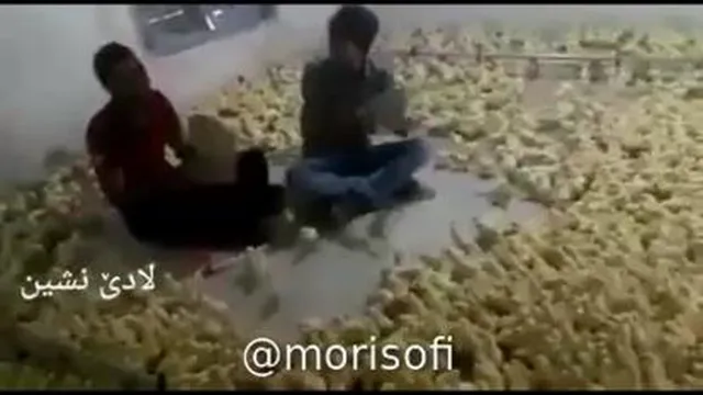 خنده😂