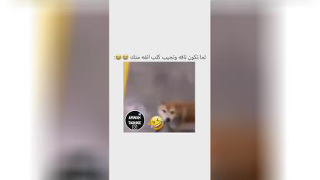 سگ کنترلی 😂😂😂