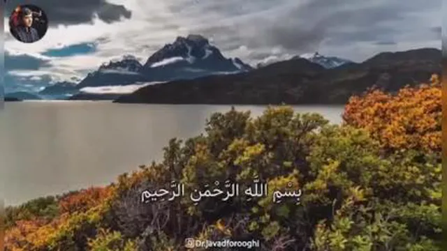 قانون کنش و واکنش.