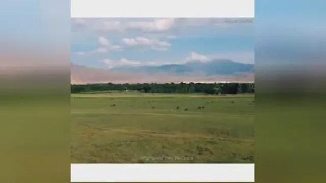 این همه زیبایی همو وطن خودمان است.