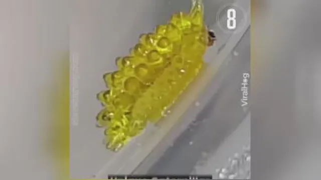 عجایبات!