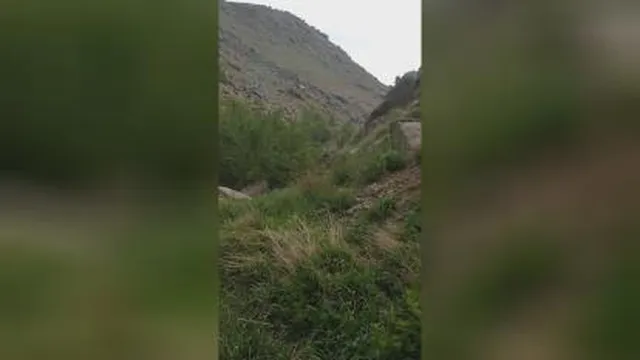 طبیعت(حس خوب)