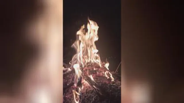 شب سکوت طبیعت