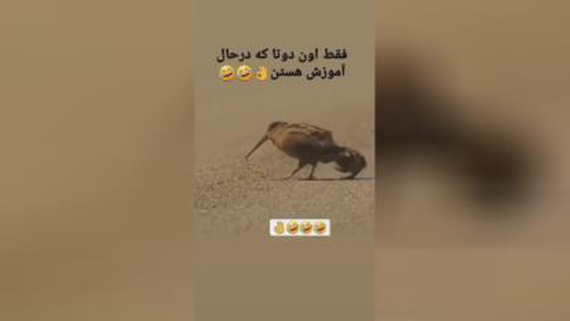 یک کم شاد شوید