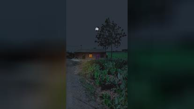 به به چه منظره ای؟