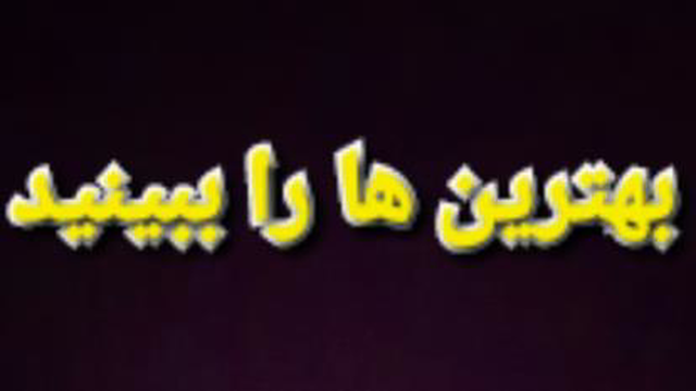 فاشین گربه ، چقدر ناز !!!