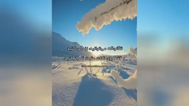 زندگی کن..