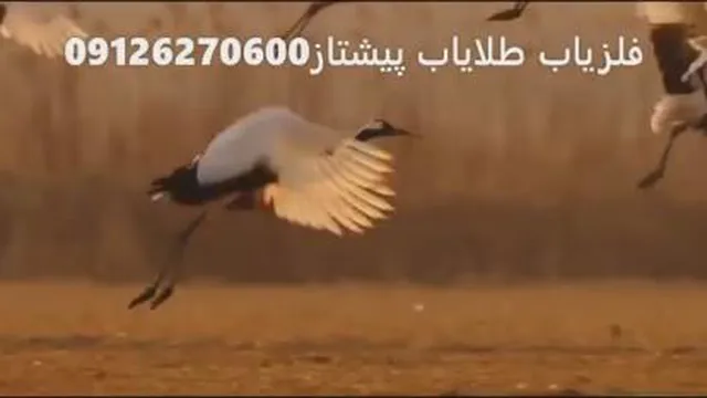 طبیعتی بکر