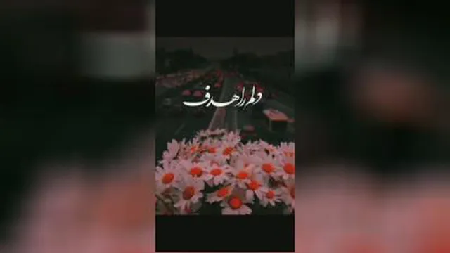الهه ناز