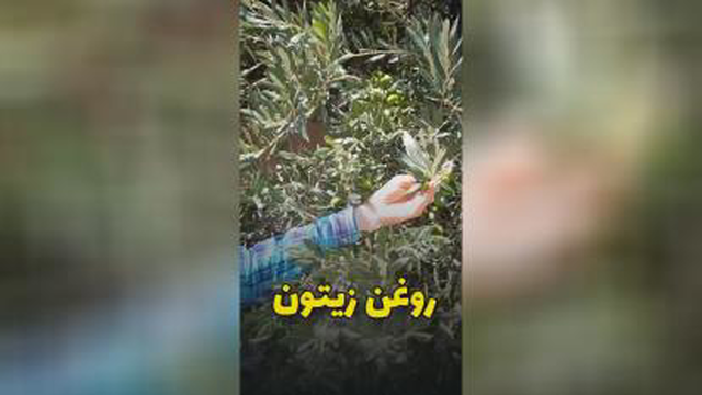 درمان همه چیز