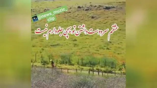 کلیپ عاشقانه خودمونیم از پویا بیاتی