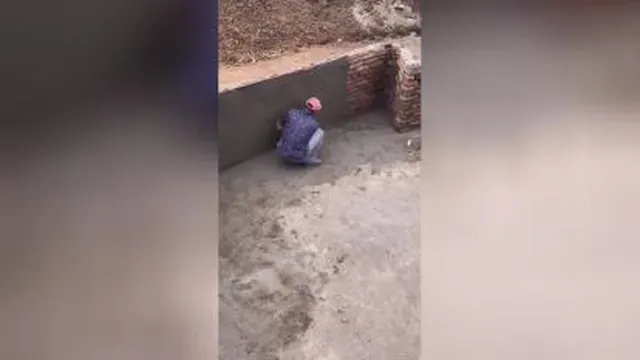 خلاقیت